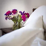 Appartement Afrodita *