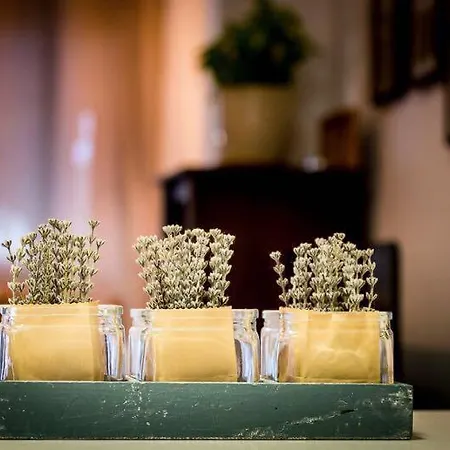 Appartement Afrodita