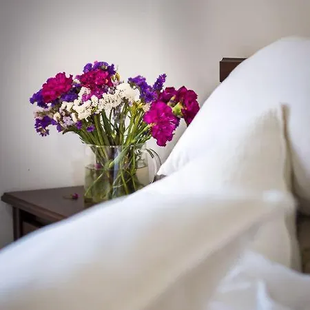 Appartement Afrodita *