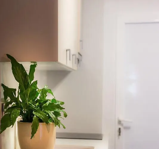 Afrodita Διαμέρισμα *