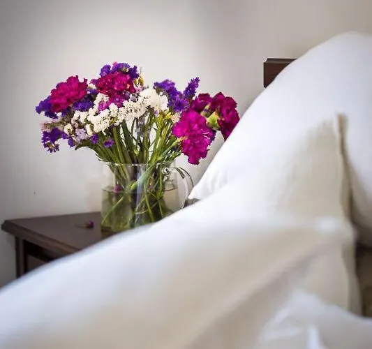 아파트 Afrodita *